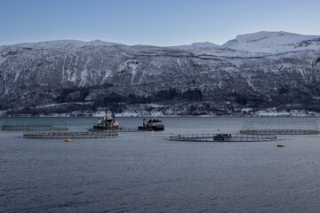 Fish farm in the Norwegian sea, Norway