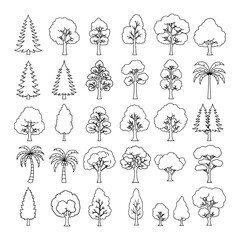 Minimal style cad tree line drawing, Side view, set of graphics trees elements outline symbol for architecture and landscape design drawing. Vector illustration in stroke fill in white. Tropical, oak