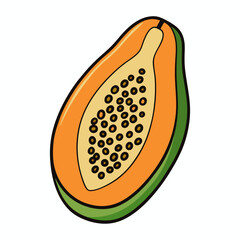 vector illustration of an orange fruit