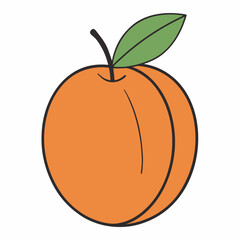 vector illustration of an orange
