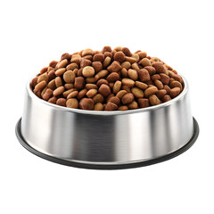 Dry pet food in a stainless steel bowl