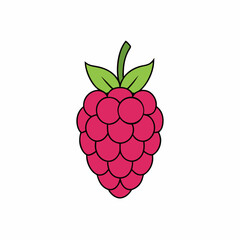 raspberry with leaf
