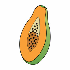 vector illustration of a tomato