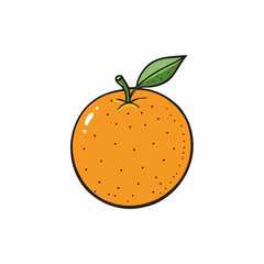 vector illustration of an orange fruit