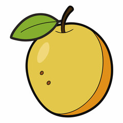 vector illustration of an orange fruit