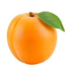 An apricot, fresh apricots, isolated on a transparent background