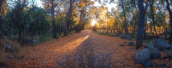 panoramic view of a tranquil forest path covered in golden leaves, with sunlight breaking through the canopy, Generative AI