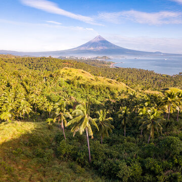 Valley with palm trees and volcano, elevated view, Philippines