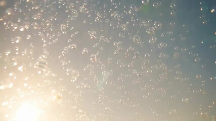 Shimmering soap bubbles floating with sun rays on outdoor background. Many iridescent translucent spheres reflecting light during golden hour time with lush green vegetation. - Powered by Adobe