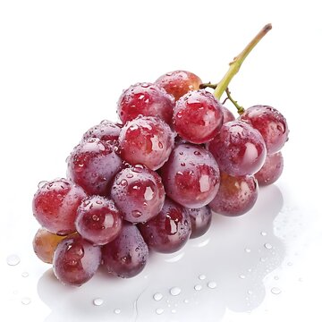 Water Drops With Fresh Greps Photos 