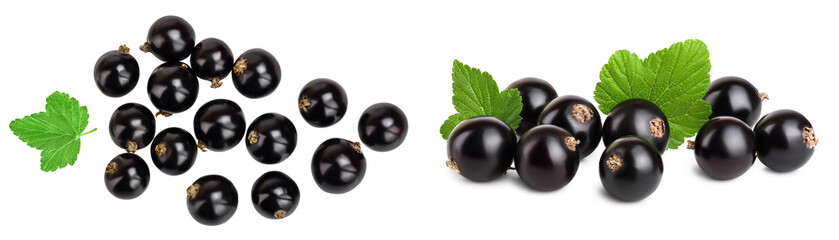 black currant with leaves isolated on white background . Top view. Flat lay pattern