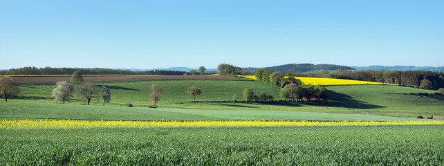 rural countryside of suedeifel in germany dominated by rapeseed fields in spring