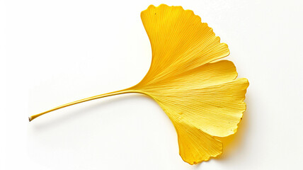 Naklejka premium Vibrant yellow Ginkgo Biloba leaf on a clean white background. Autumn foliage.