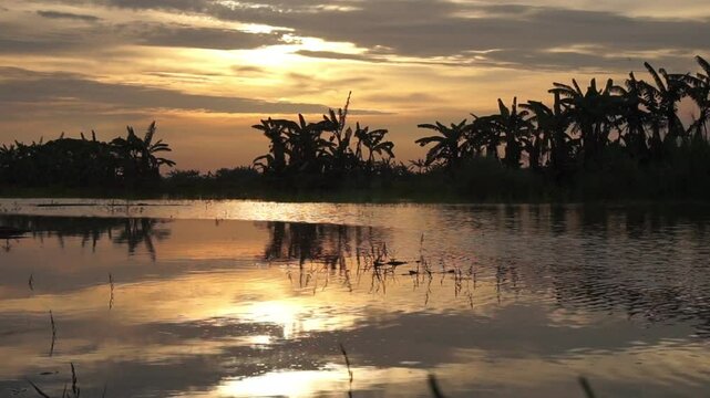video a beautiful and dramatic sunset with a yellow sky and river water reflecting the afternoon sunlight, creating a calm and peaceful atmosphere, and the silhouette of plants on the riverbank