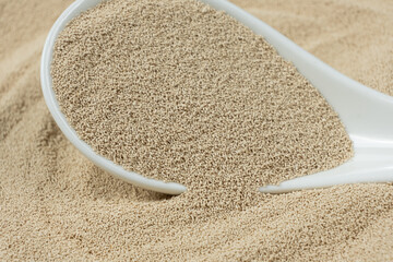 Spoonful of Granular Dry Yeast Close-Up