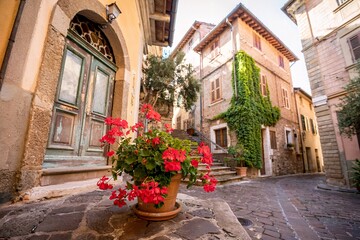 Charming European Alleyway With Stone Facades and Potted Flowers in the Sunlight
