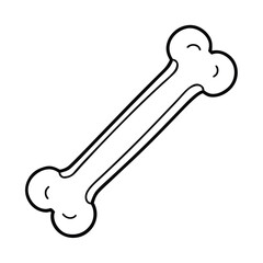 dog bone isolated on white