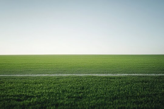 Fototapeta Field Sports. Green Grass Sports Field with White Lines on a Sunny Day