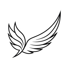 trendy feathered wing