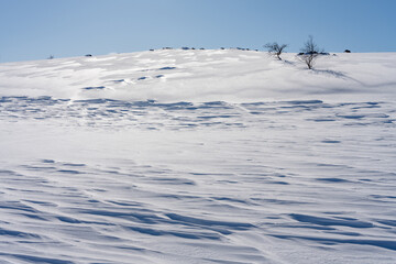 Sunny late winter day on the fells. Utsjoki, Finland