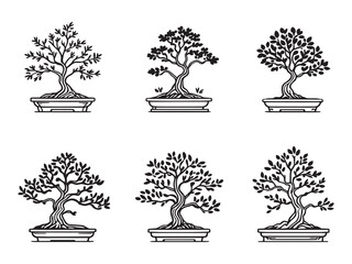 bonsai tree Line Art Illustration