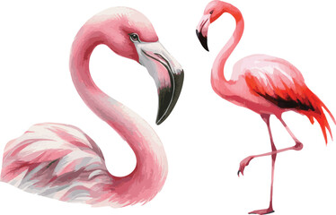 Fototapeta premium Vector watercolor painted illustration of a flamingo