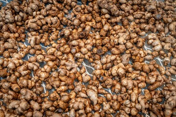 Washed black ginger roots