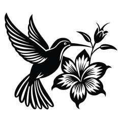 Hummingbird vector silhouette, hummingbird and floral design
