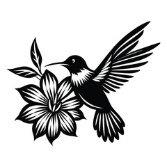 Hummingbird vector silhouette, hummingbird and floral design