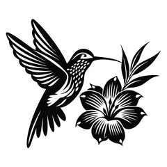 Hummingbird vector silhouette, hummingbird and floral design