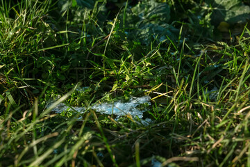 wiese schnee kalt frost winter