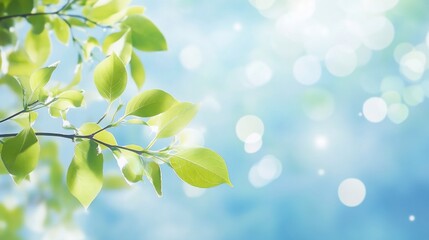 Fresh green leaves on a branch against a bright, bokeh background.