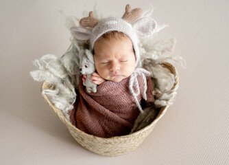 Newborn Baby Sleeping In Fawn's Basket In A Studio Photo