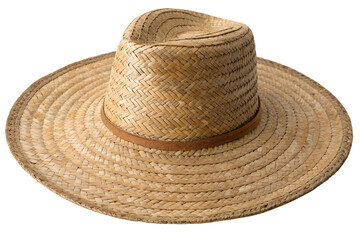 Wide Brim Straw Hat with Brown Band