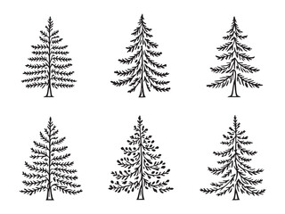 Fir Tree Line Art Illustration