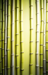 green bamboo background
