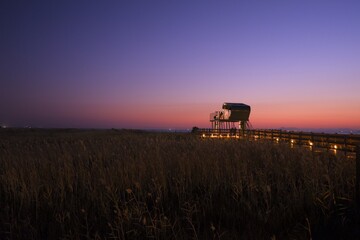 Fototapeta premium A scenic sunset of an observation deck surrounded by golden reed fields at Dadaepo Beach, Busan, S-Korea