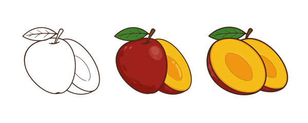 Three distinct cartoon plum illustrations: outline, full color, and a detailed half-cut view with its pit