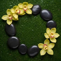 Circular frame of yellow-green Cymbidium orchids and black spa stones on wet green moss. Zen garden flat lay concept for wellness, therapy, beauty, relaxation, and natural background with copy space.