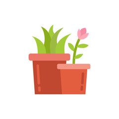 Minimalist Floral Arrangement in Terracotta Pots with Transparent Backdrop