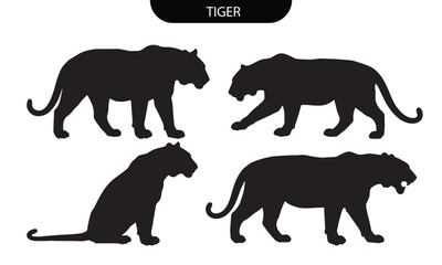 Obraz premium Tiger Silhouette Set Vector Collection of Wild Big Cats in Different Poses