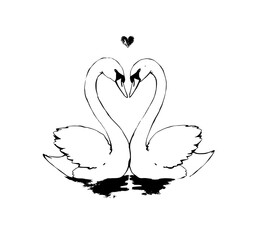 Eternal Embrace: Two elegant swans, their graceful necks intertwined in a heart-shaped gesture above tranquil waters. Capturing a moment of timeless affection.