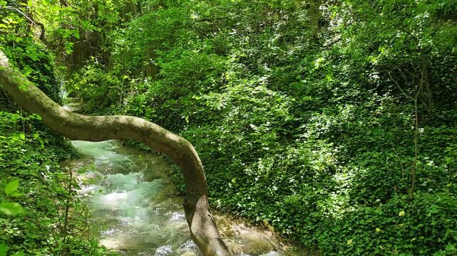 Bachkovo waterfalls cascade in Rhodopes Mountain, Plovdiv region, Bulgaria