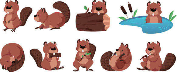 Vector set of cute beavers in different poses, sitting, sleeping, gnawing, swimming. © sabelskaya