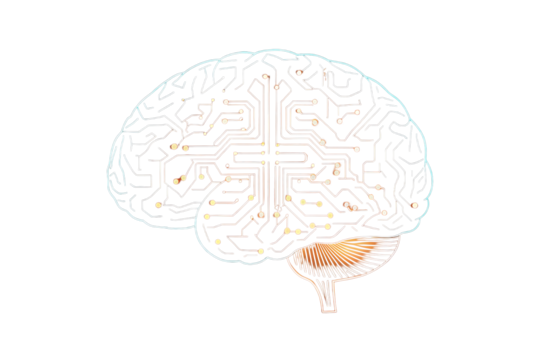 Human Brain Circuit Board Design on Transparent Background