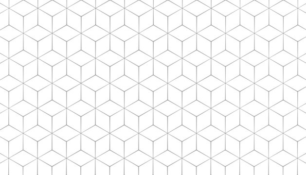 Grey hexagon cube line geometric pattern background, Geometric background made of hexagon, Abstract geometric background. Vector 3d illustration. hexagon square or pyramid white line shapes.