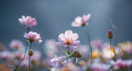 Obraz premium Pink flowers in bloom with a blurred background. Nature and floral scene. Beauty of flowers in springtime. Soft colors and delicate petals.