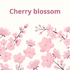 Festive square card with sakura flowers and typography Cherry blossom. Asian tradition. Grainy texture effect. Ideal for background, cover, label, social media.