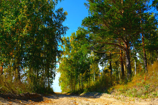 Winding country road among  thickets of  forest, ride through the picturesque farmland of the rural surroundings