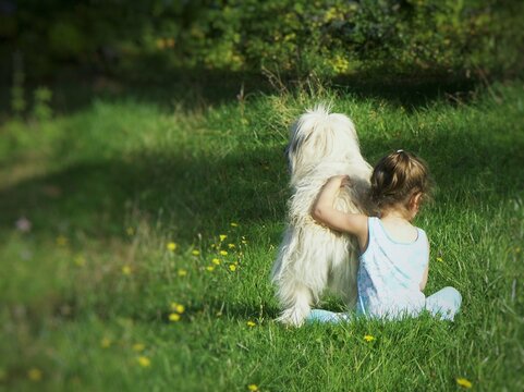 Complicit&eacute; animal / enfant